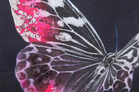 Cyborg Butterfly: Threshold | YOSHIAKI NAKAMURA