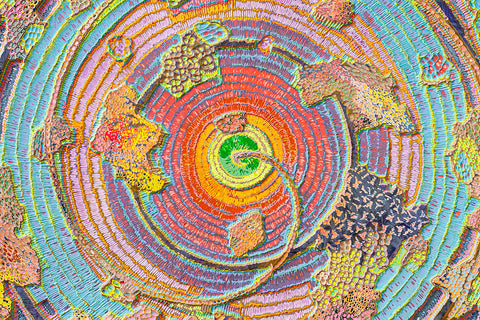 JIANG MIAO: Spiral of Energy