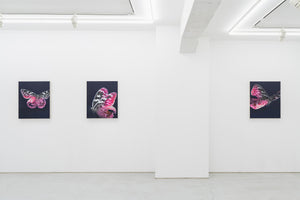 Cyborg Butterfly: Threshold｜中村馨章 | Whitestone Gallery