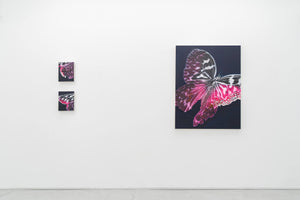 Cyborg Butterfly: Threshold｜中村馨章 | Whitestone Gallery