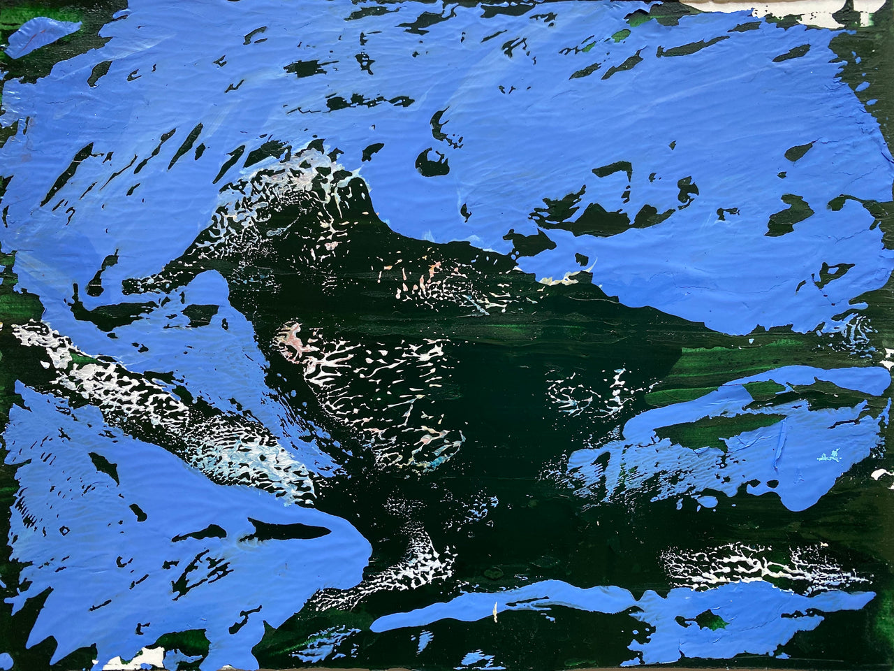 Oiseau laisse pour trace (n°132 22)