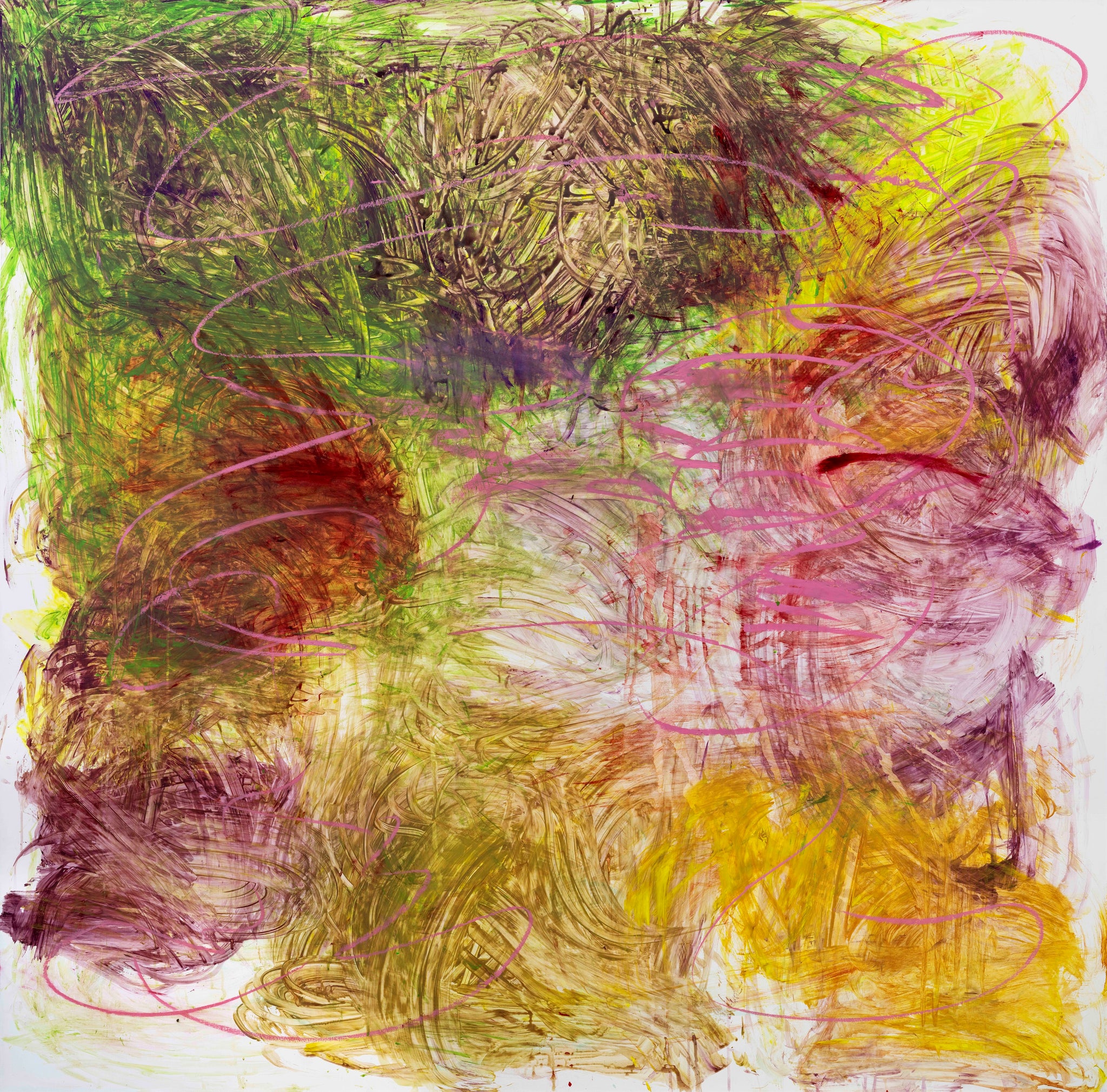 Facing Gaia 01