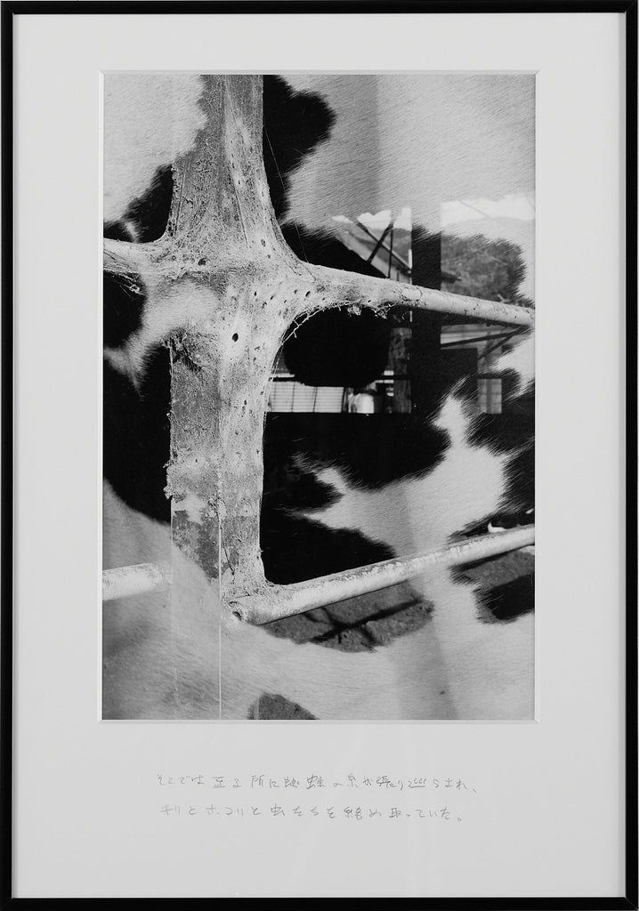 Spiderwebs Stretched Everywhere, Trapping Dust, Debris, and Insects., KOHEI KYOMORI, UndatedInkjet print / Pencil text on matte paper33.0 × 22.0 cmEdition of 5