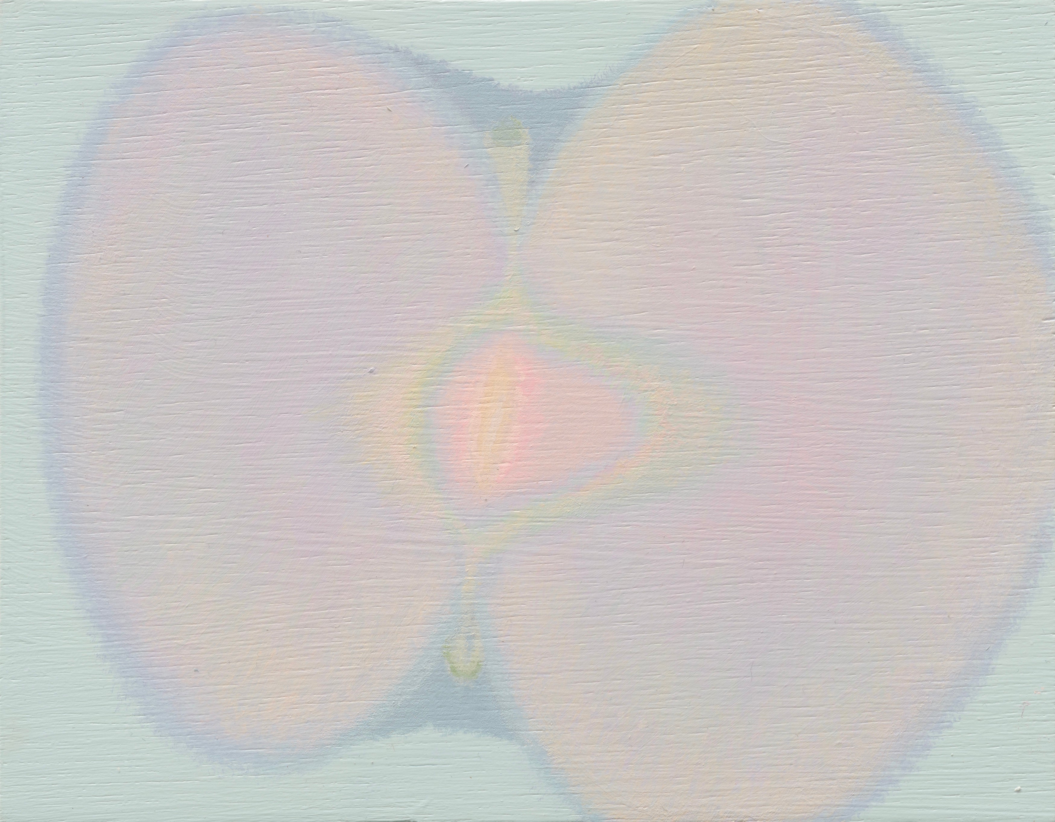 Core and Heart Series NO.38