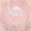 Fragrant Haze