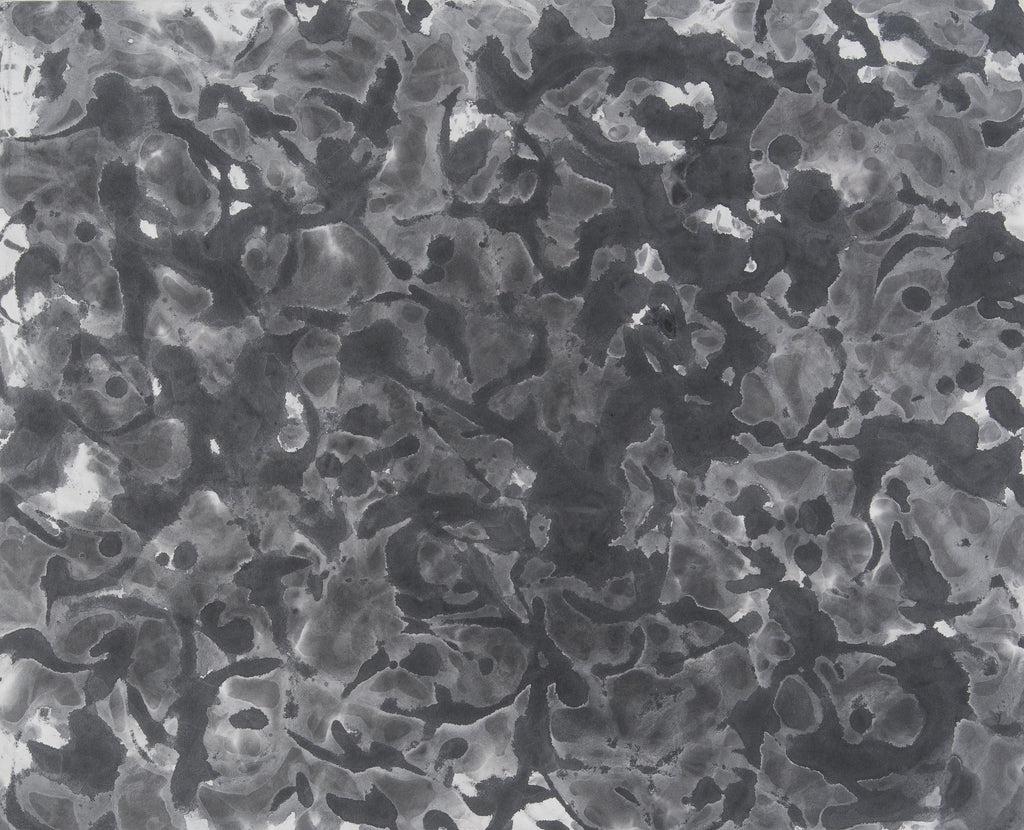 Drawing 24-13, SHIHO FUJIWARA, 2024Ink on Japanese paper53.5 × 65.2 cm