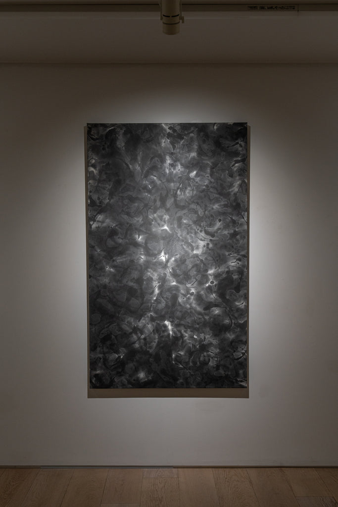 Drawing 24-11, SHIHO FUJIWARA, 2024Ink on Japanese paper162.5 × 97.0 cm