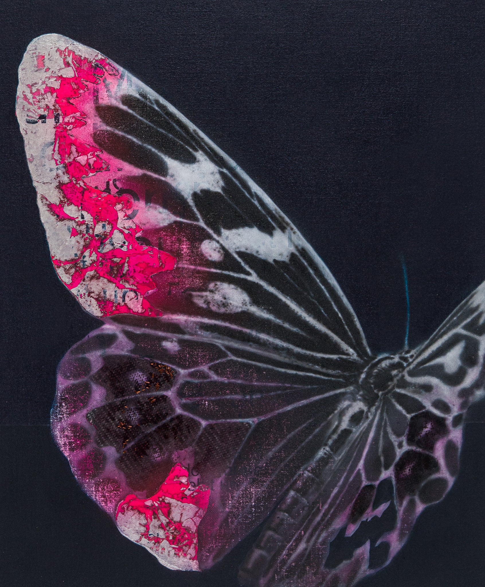 Cyborg Butterfly 4