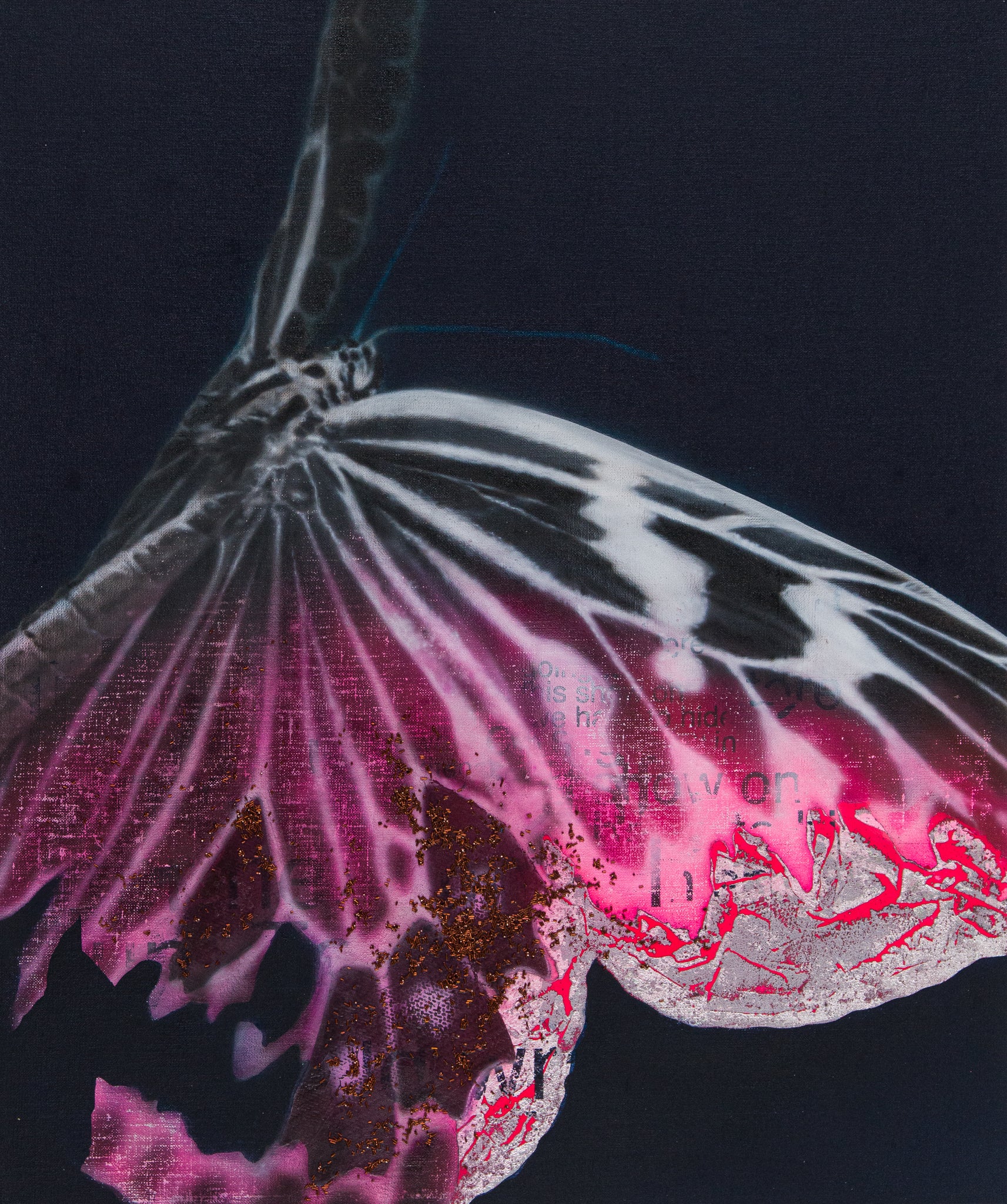 Cyborg Butterfly 7