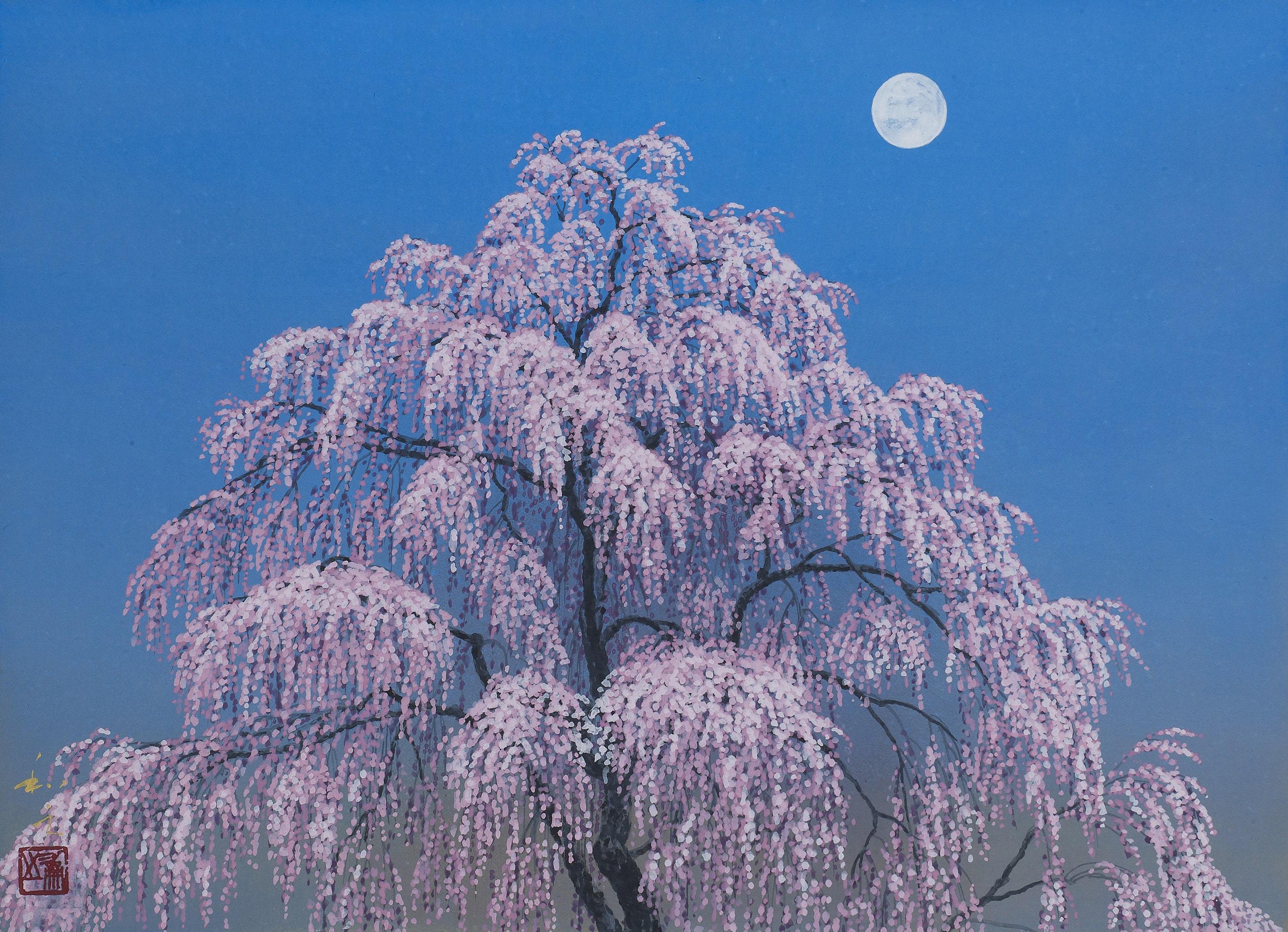 Japanese Weekping Tree Japanese Weeping Cherry Tree